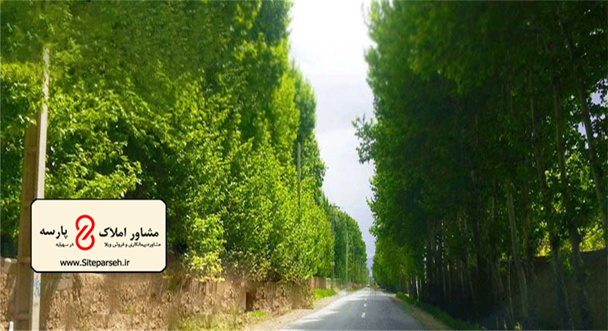وبلاگ سهیلیه