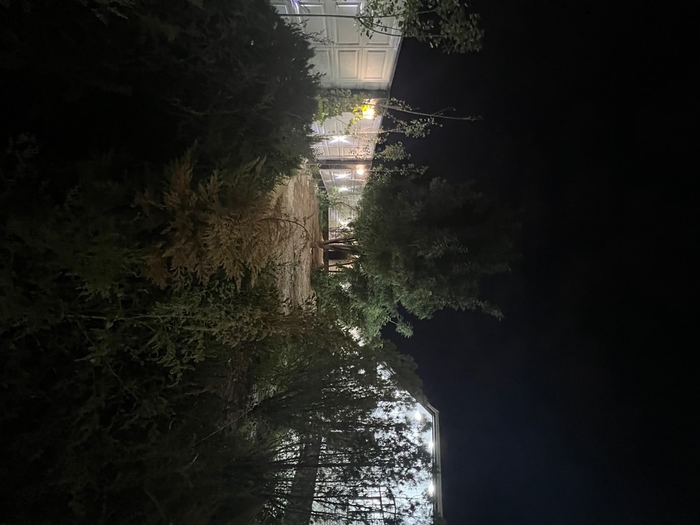    بی نام  