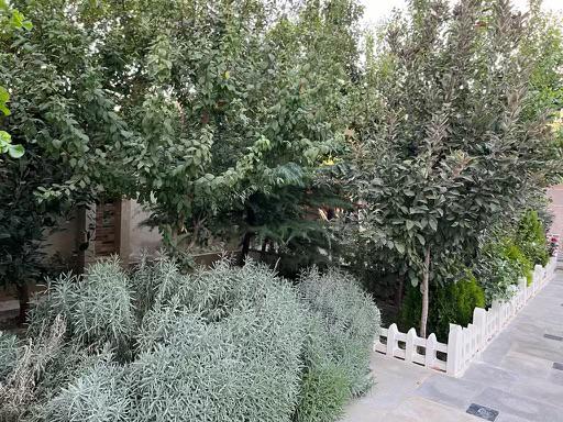    بی نام  