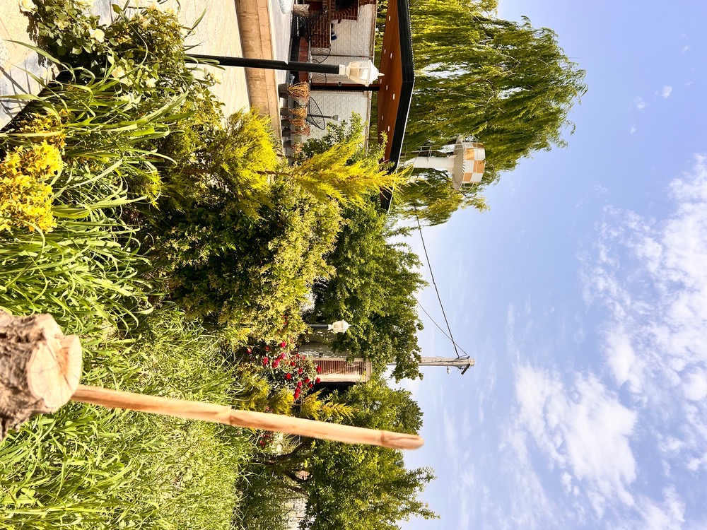    بی نام  